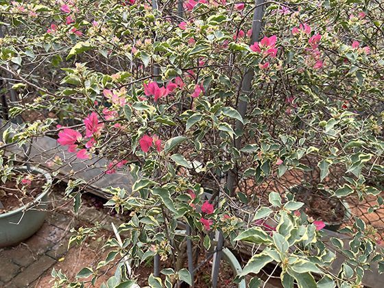 中国教师资格网具体介绍