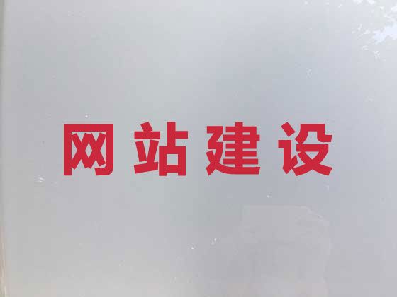 曲靖市AI数字人视频制作&商城网站定制开发，专业团队