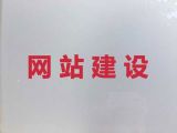 曲靖市AI数字人视频制作&商城网站定制开发，专业团队