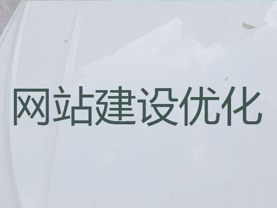 株洲市网站SEO优化-独立网站开发，优秀开发团队