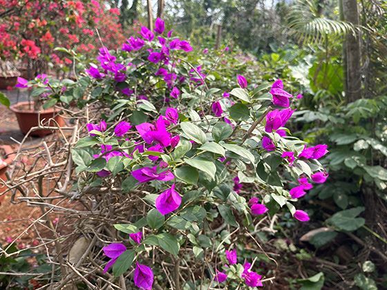 有哪些被广泛误解为“浪漫”实则可能是控制欲表现的行为？