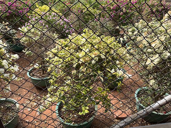 面对订阅疲劳，消费者应如何精简不必要的数字会员？