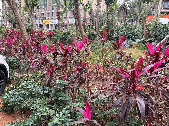 广告的力量：二十世纪以来，口红的营销如何塑造了美的流行观念？