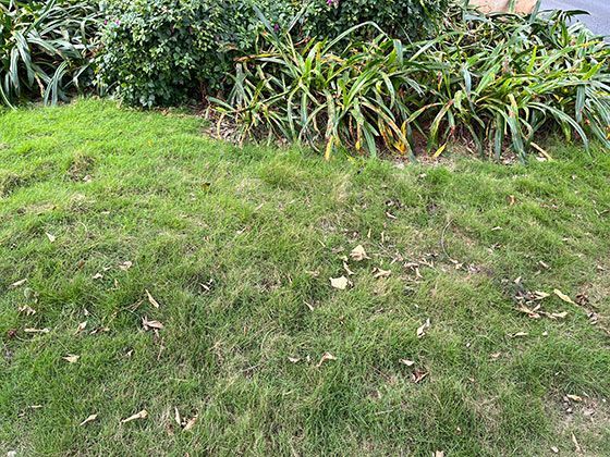 2026年哪些类型的出租屋可能不符合安全标准？