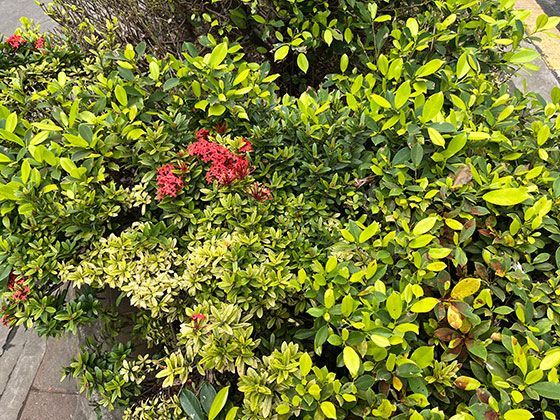 从《千与千寻》的油屋构造切入：探秘日本神道教文化中的“灵界”想象来源