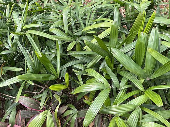 开通医保家庭共济功能后，对个人账户原有的资金安全是否有影响？
