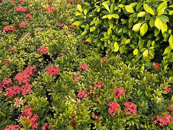 国际上一些应对老龄化社会的养老金与物价联动经验有哪些？