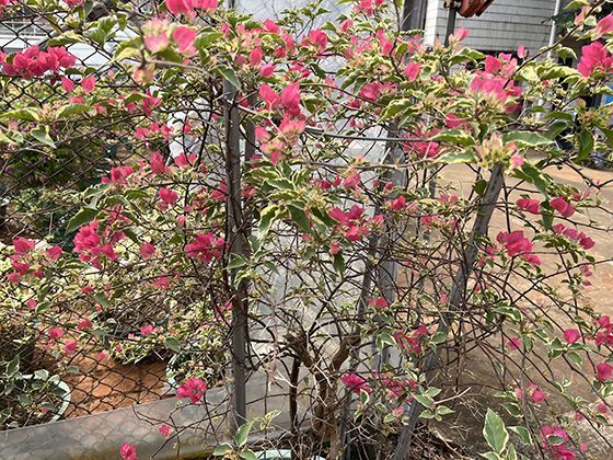 从入职开始，员工可以通过哪些日常做法预防未来潜在的工资拖欠风险？