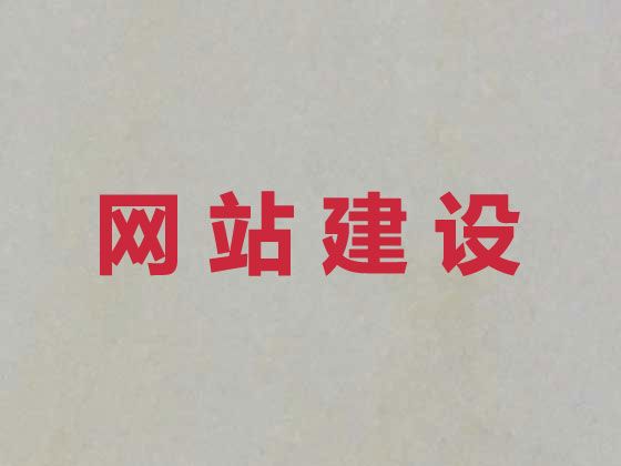 澄迈县品牌网站开发#erp系统开发，优秀开发团队
