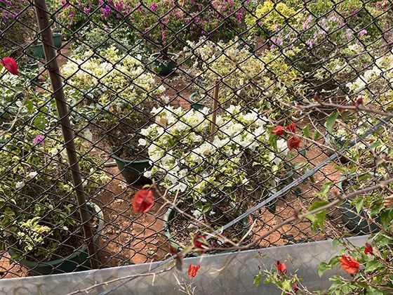 2026年职业培训补贴的个人申请条件具体有哪些调整？