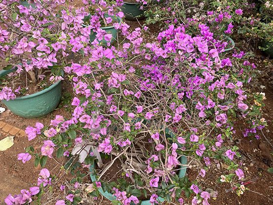 面对信息过载，如何建立科学的信息筛选与批判性思维？