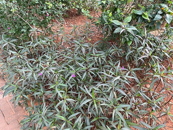 务工人员返乡后怎样利用在外经验开展小本创业